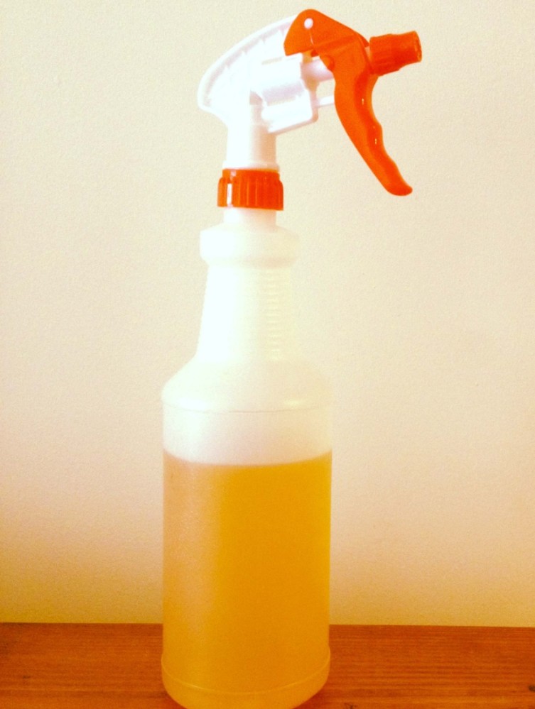 Homemade Citrus Cleaner ‹ Glitter Spice