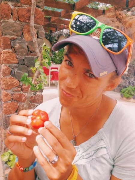 Enjoy the cute Santorini tomatoes.