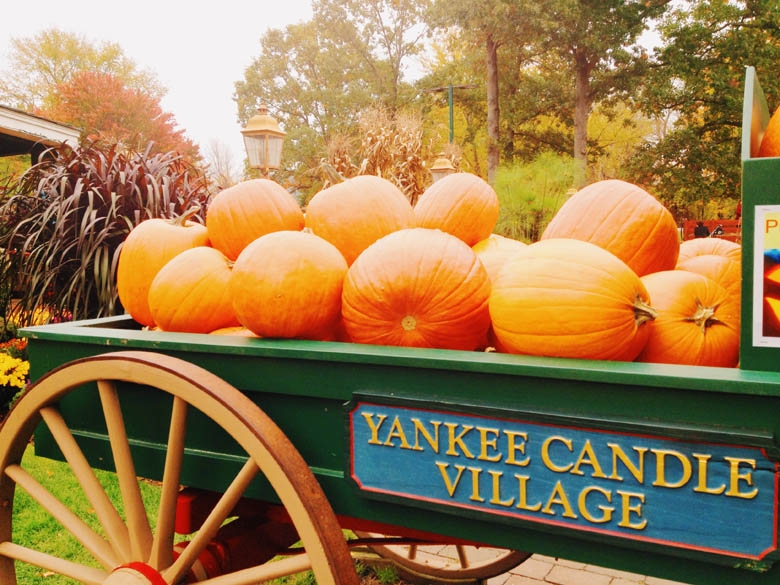 Yankee Candle Pumpkins